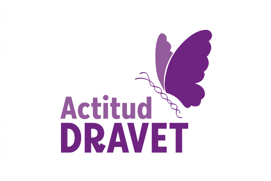 Actitud Dravet