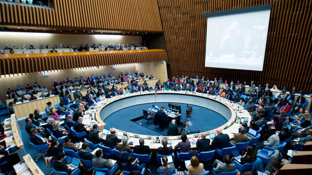 La Asamblea Mundial de la Salud adopta una resolución histórica sobre enfermedades poco frecuentes